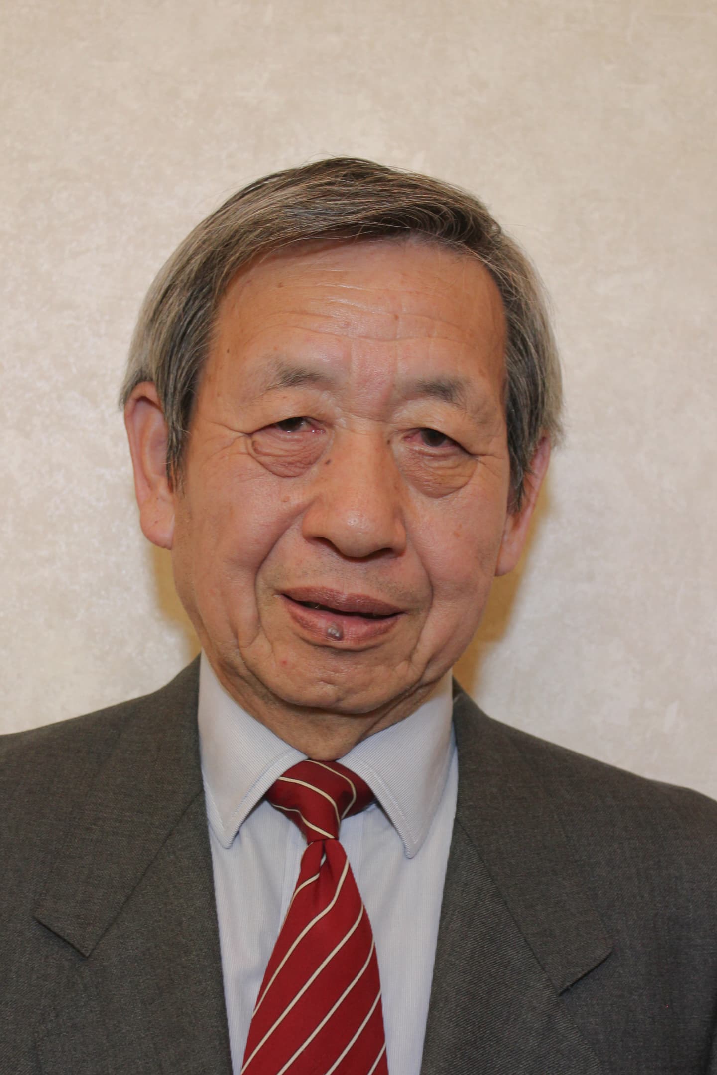 大垣＿墨俣＿城＿食事＿やちぐさ